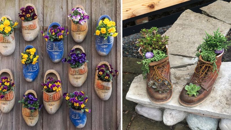 From Sole to Soil: Unleashing the Beauty of Gardens with Upcycled Shoes