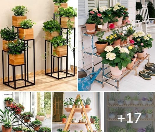 Brilliant Ideas for Creative Arranging Plants on the Porch