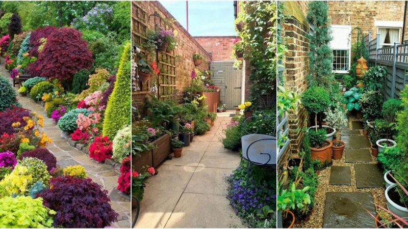 28 Ideas to Transform Your Long and Narrow Garden with Stunning Landscaping