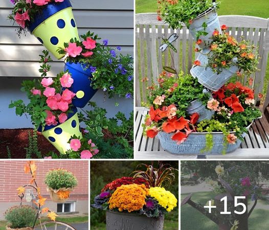 Highlight garden with these DIY ideas of colorful pot arrangements