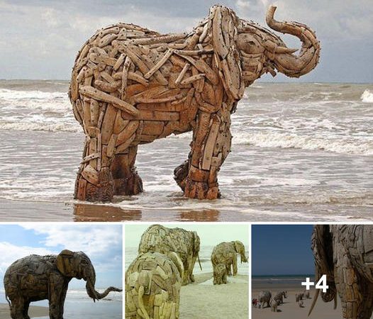 Gaze in Awe at the Stunning Driftwood Art of Grandiose Elephant Figures