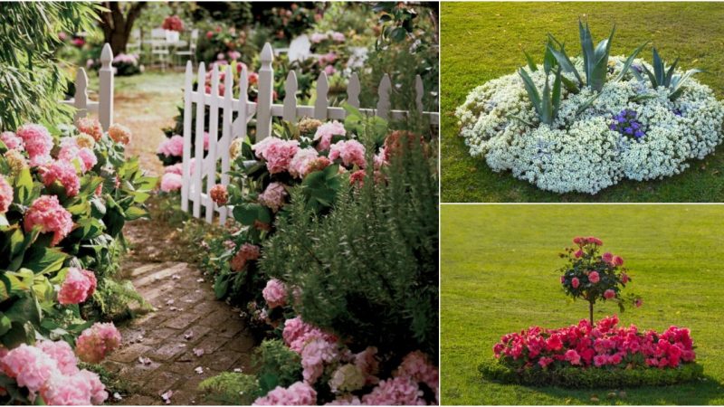 25 Stunning Flower Gardens to Spark Your Spring Inspiration