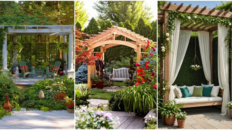 27 Stunning Pergola Designs Adorned with Lush Greenery